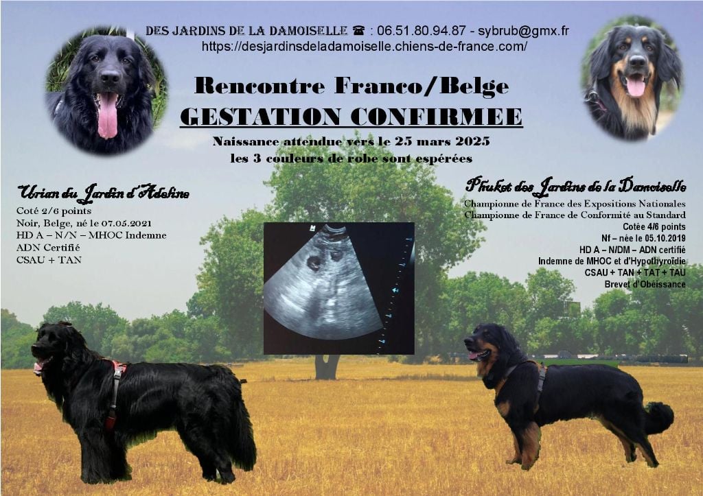 DES JARDINS DE LA DAMOISELLE