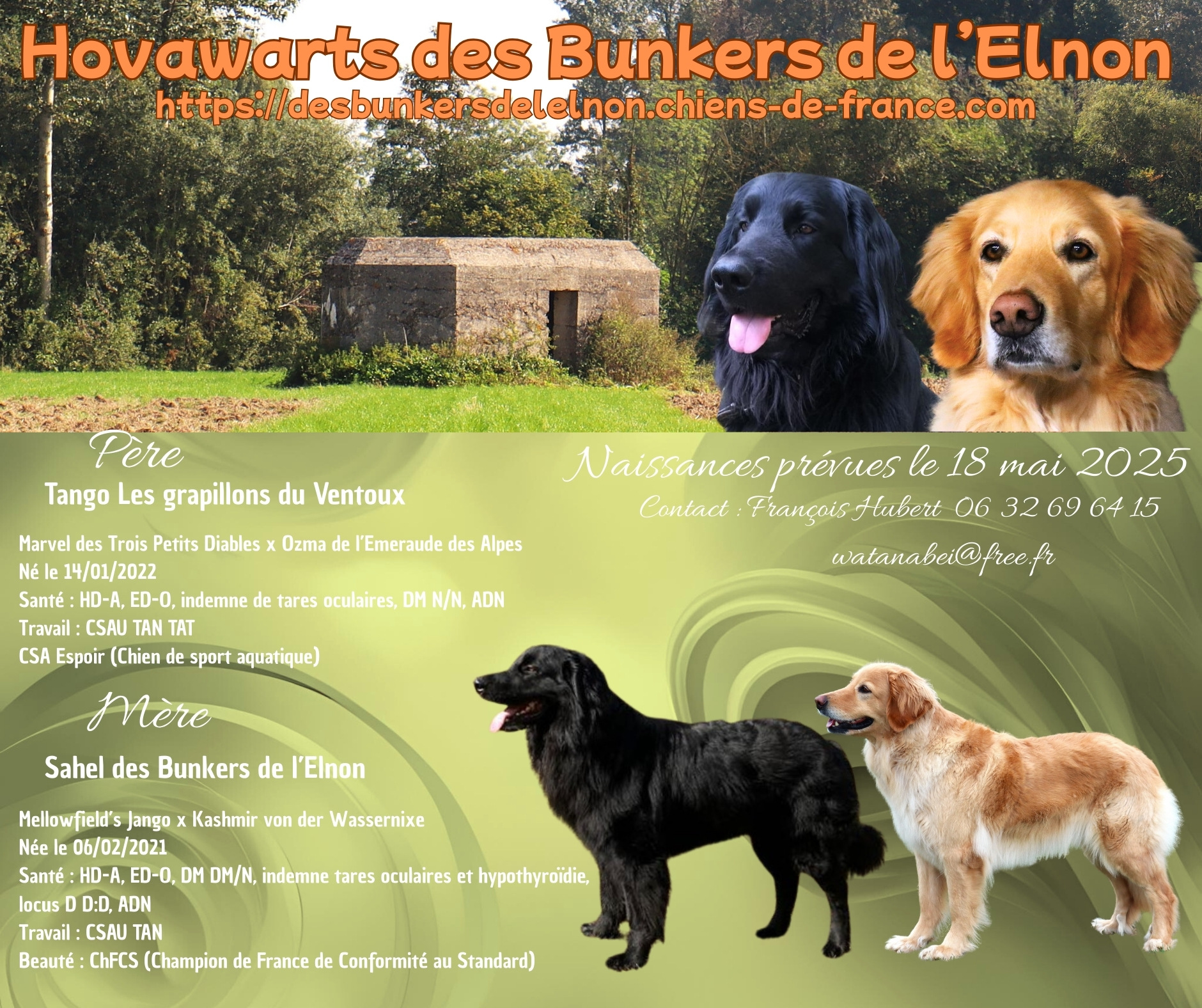 DES BUNKERS DE L’ELNON